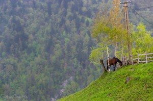 mi-e dor de munții mei travel with matei ghid turism
