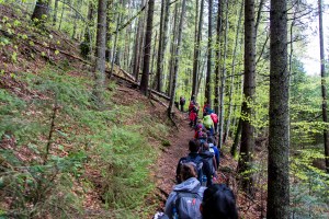 mi-e dor de munții mei travel with matei ghid turism