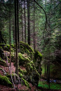 mi-e dor de munții mei travel with matei ghid turism