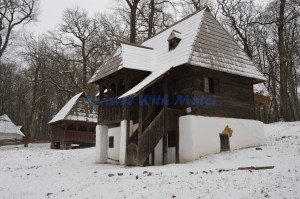 Casă țărănească 2