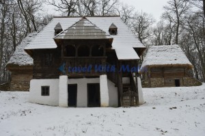 Casă țărănească 3