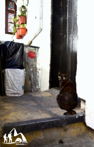 de ce veliko tarnovo este cel mai fain loc din bulgaria travel with matei ghid turism