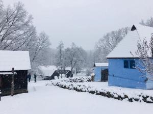 5 lucruri de făcut sau nu în sibiu