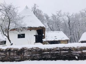 5 lucruri de făcut sau nu în sibiu