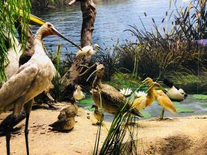 5 lucruri de făcut sau nu în sibiu