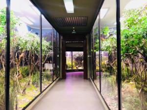 5 lucruri de făcut sau nu în sibiu