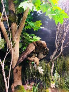 5 lucruri de făcut sau nu în sibiu