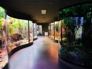 5 lucruri de făcut sau nu în sibiu