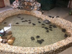 5 lucruri de făcut sau nu în sibiu