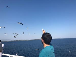 sejur individual în thassos cea mai frumoasă stațiune românească