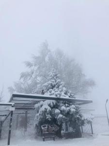 sofia o destinație cel puțin surprinzătoare