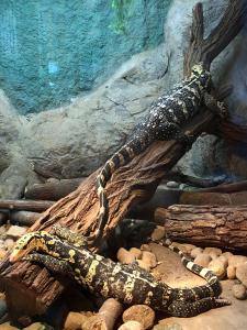 sofia o destinație cel puțin surprinzătoare