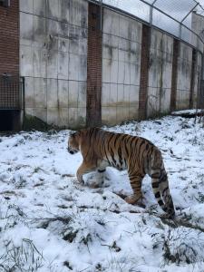 sofia o destinație cel puțin surprinzătoare