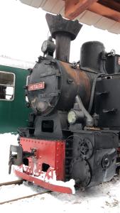 5 lucruri de făcut sau nu în bucovina