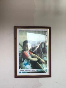 5 lucruri de făcut sau nu în bucovina