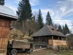 5 lucruri de făcut sau nu în bucovina