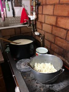 5 lucruri de făcut sau nu în bucovina