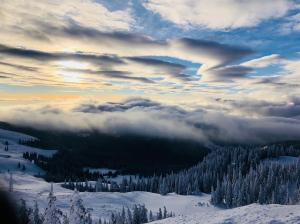 5 lucruri de făcut sau nu în bucovina
