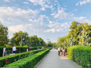 5 lucruri de făcut sau nu în buzău