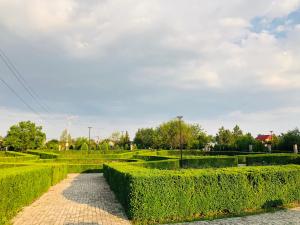 5 lucruri de făcut sau nu în buzău