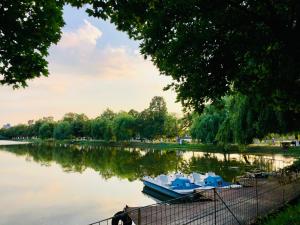 5 lucruri de făcut sau nu în buzău