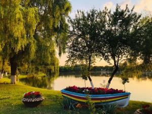 5 lucruri de făcut sau nu în buzău