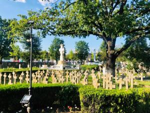 5 lucruri de făcut sau nu în buzău