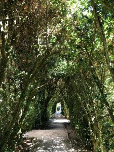 Vacanță la mare în Balcic o surpriză mai mult decât plăcută