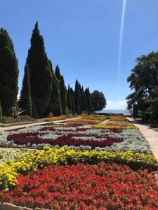 Vacanță la mare în Balcic o surpriză mai mult decât plăcută