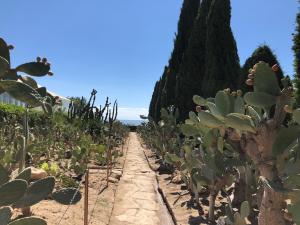 Vacanță la mare în Balcic o surpriză mai mult decât plăcută