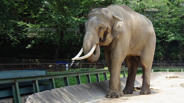 5 LUCRURI DE FĂCUT (SAU NU) ÎN TÂRGU MUREȘ